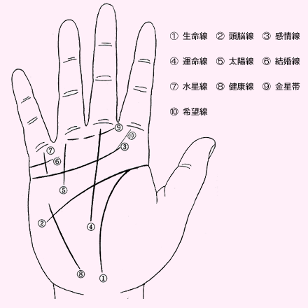 未来の細道 運勢 占い 開運 手相占いにおける火星線と財運線